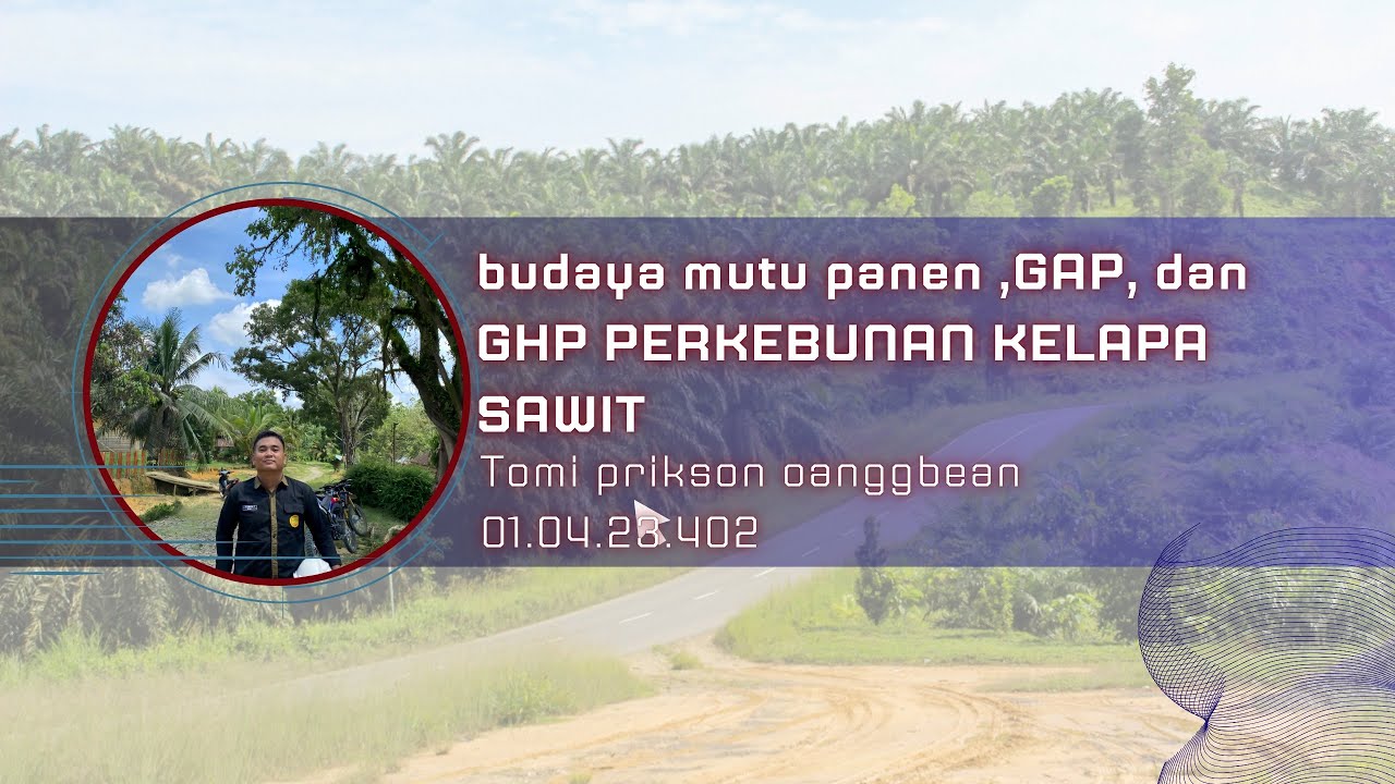 Penerapan Budaya Mutu panen ,GAP ,dan GHP perkebunan kelapa sawit 