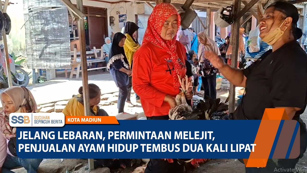 KOTA MADIUN - Jelang Lebaran, Permintaan Melejit, Penjualan Ayam Hidup Tembus Dua Kali Lipat