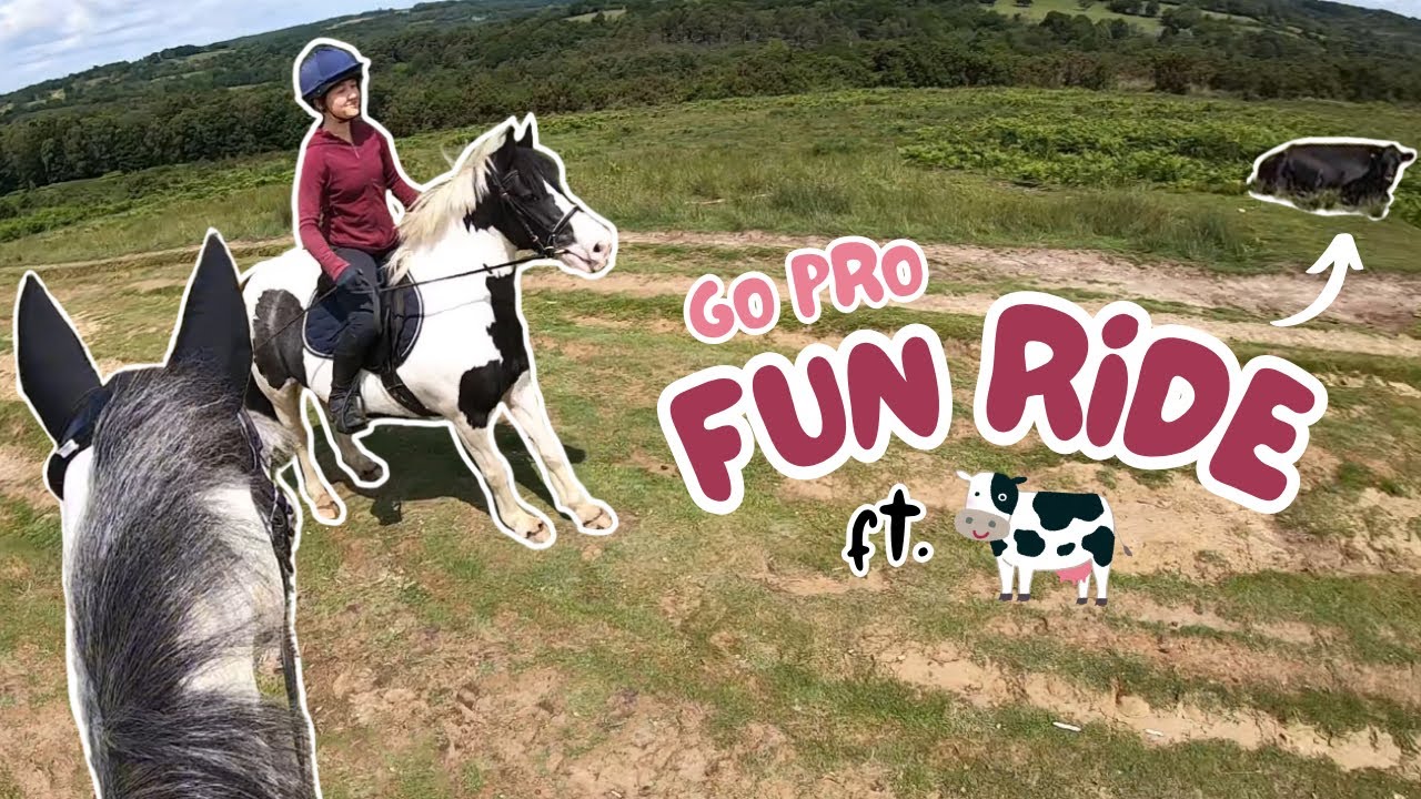 FUN RIDE 2025 | ft. very scary cows🐄 | GO PRO