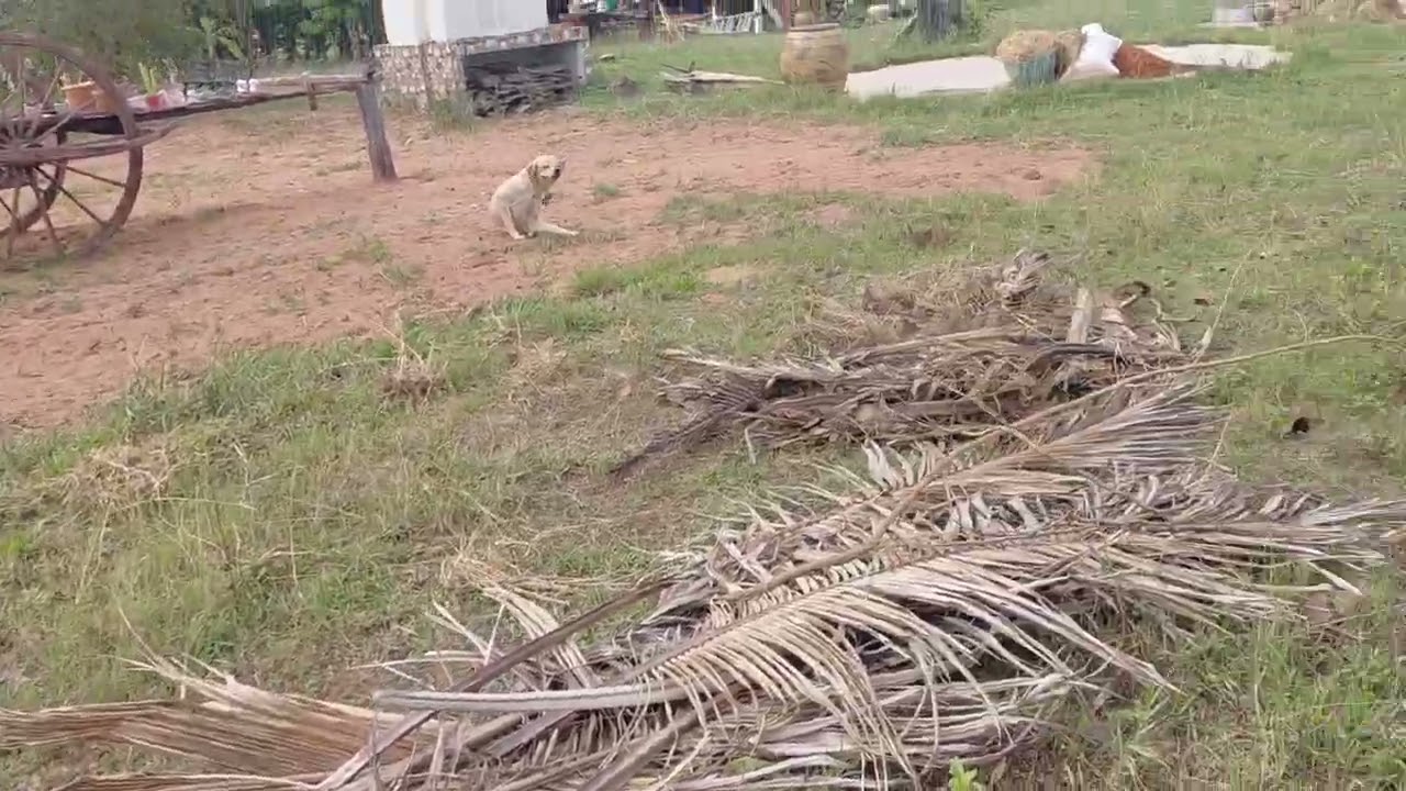 Fast wie in der Regenzeit.