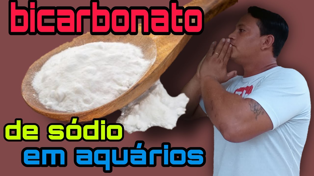 bicarbonato de sódio em aquários. água alcalina passo a passo