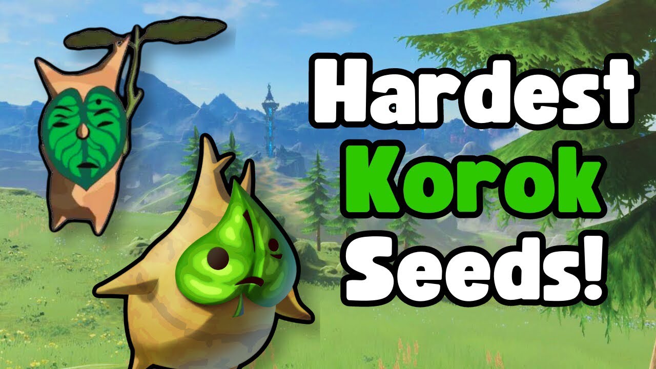 Top 6 Hardest Koroks in Breath of the Wild!