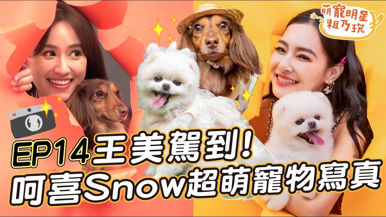 【ENGSUB】EP14 王美駕到！呵喜 Snow 超萌寵物寫真開拍啦！ 王思佳 Sandy 爆破效果初體驗！【 萌寵明星粗乃玩 】@萌寵明星粗乃玩 Have A Pet Day @王思佳的王美頻道Beauty Wang