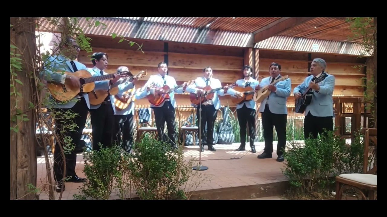 COMO EL TRINO DEL AVE // LA RONDALLA DEL AMOR Y SENTIMIENTO 