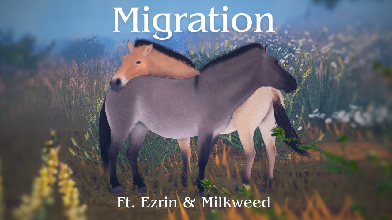 Migration || No Commentary Travelling || Milkweed & Ezrin