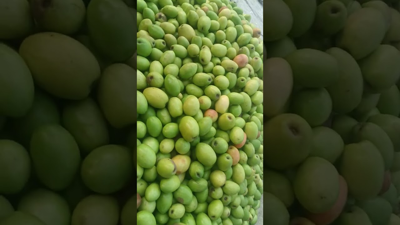 Good morning yah hamare Raniganj ke market 🙏🌞🌄🍅🫛#bolle#bmusic y#love #comedy woodsong 