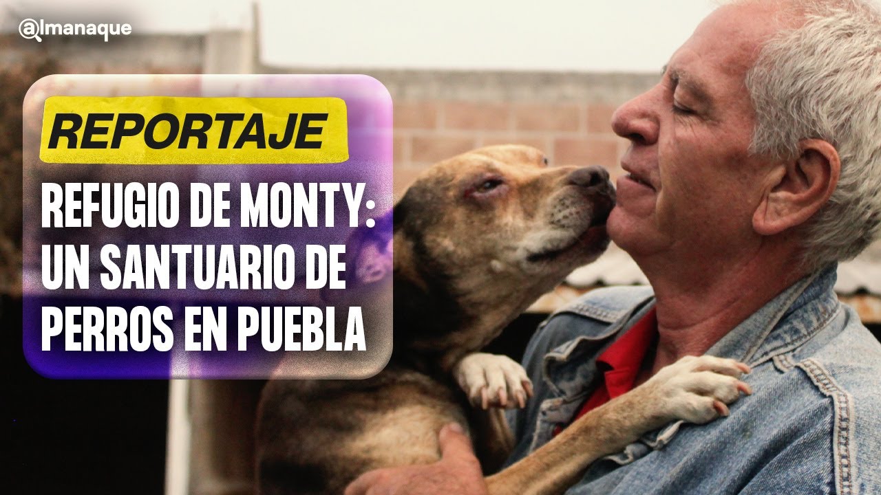 Conoce el Refugio de Monty en #Puebla, un santuario para perros callejeros