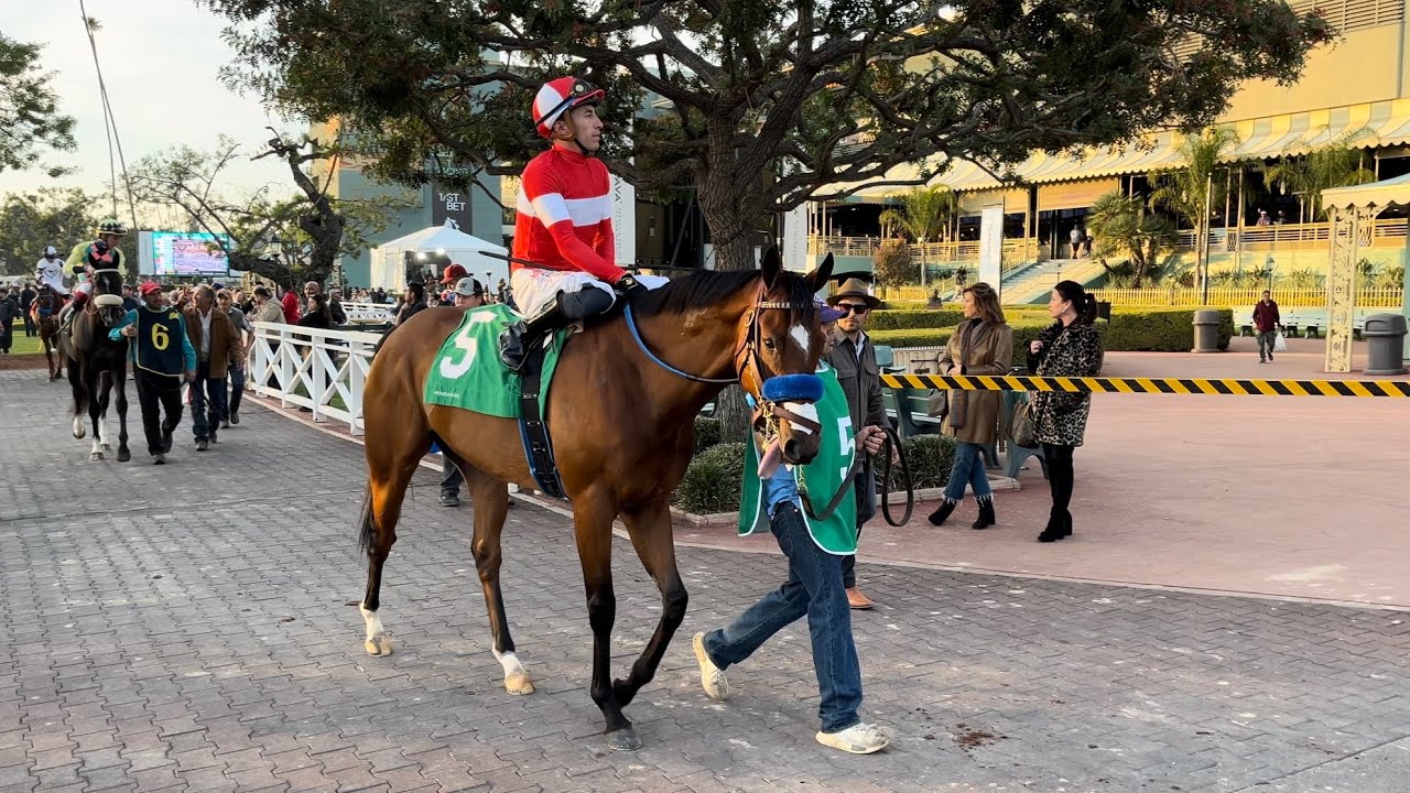 Kings River Knight wins the Unusual Heat Turf Classic