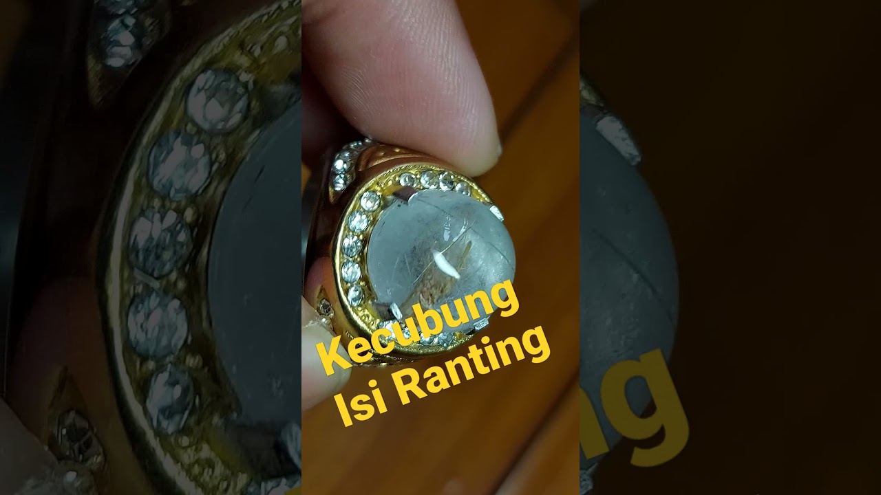 Isi Ranting Kayu Batu Kecubung