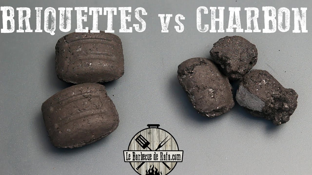 BRIQUETTES vs CHARBON: tout savoir sur leurs utilisations