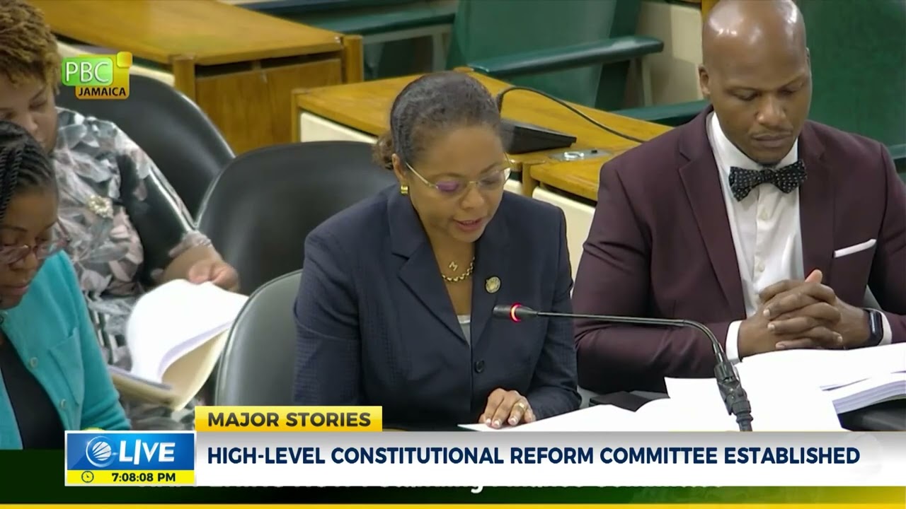 High-Level Constitutional Reform Committee Established  | @CVMTVNews