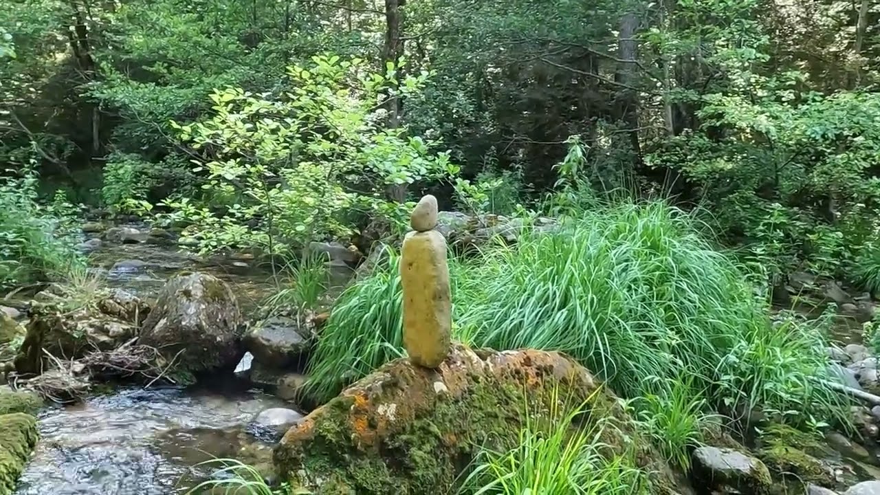 Trèves et le Trévezel