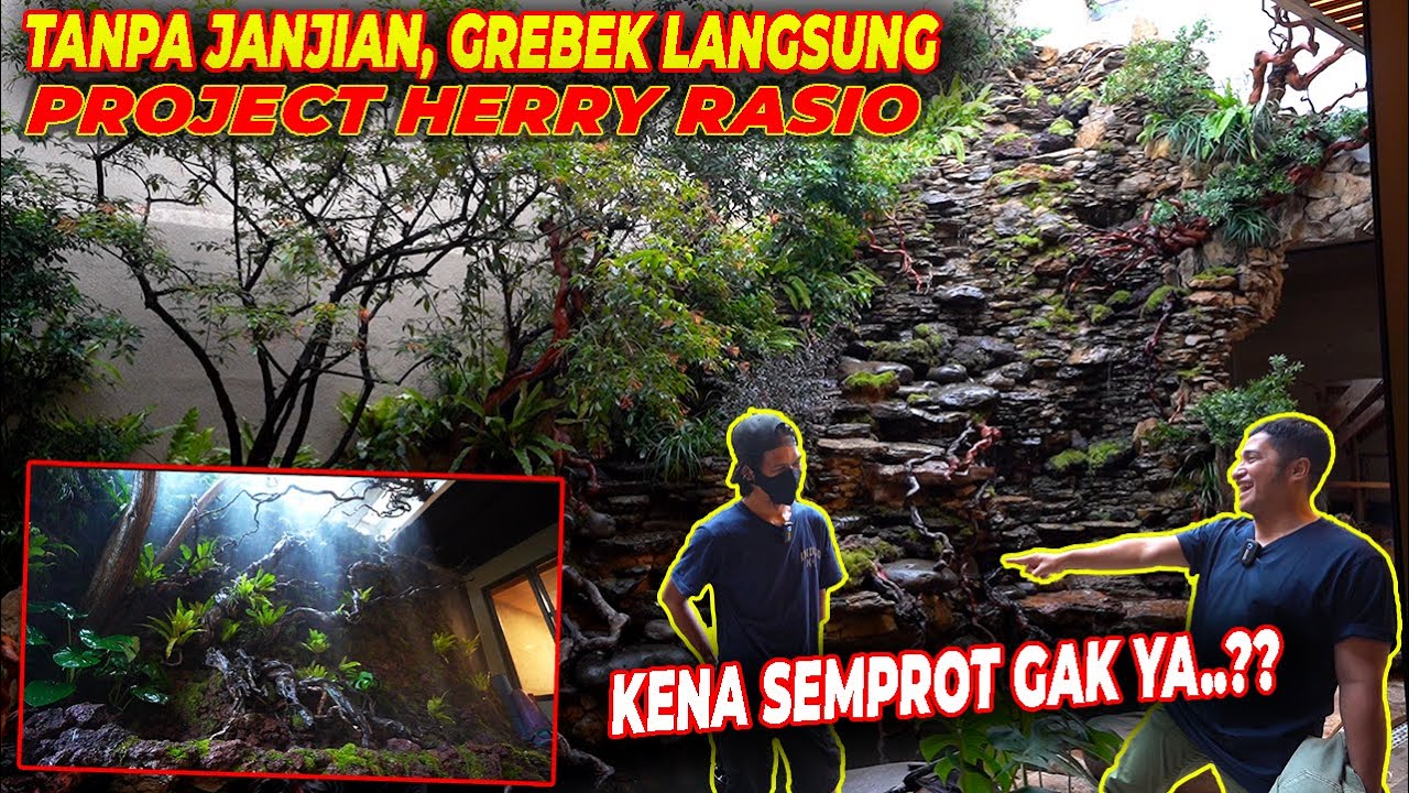 SANG MAESTRO, HERRY RASIO, BERKARYA DIPERUMAHAN ELITE. AIR TERJUNNYA TINGGI BANGET GAESS. ! !