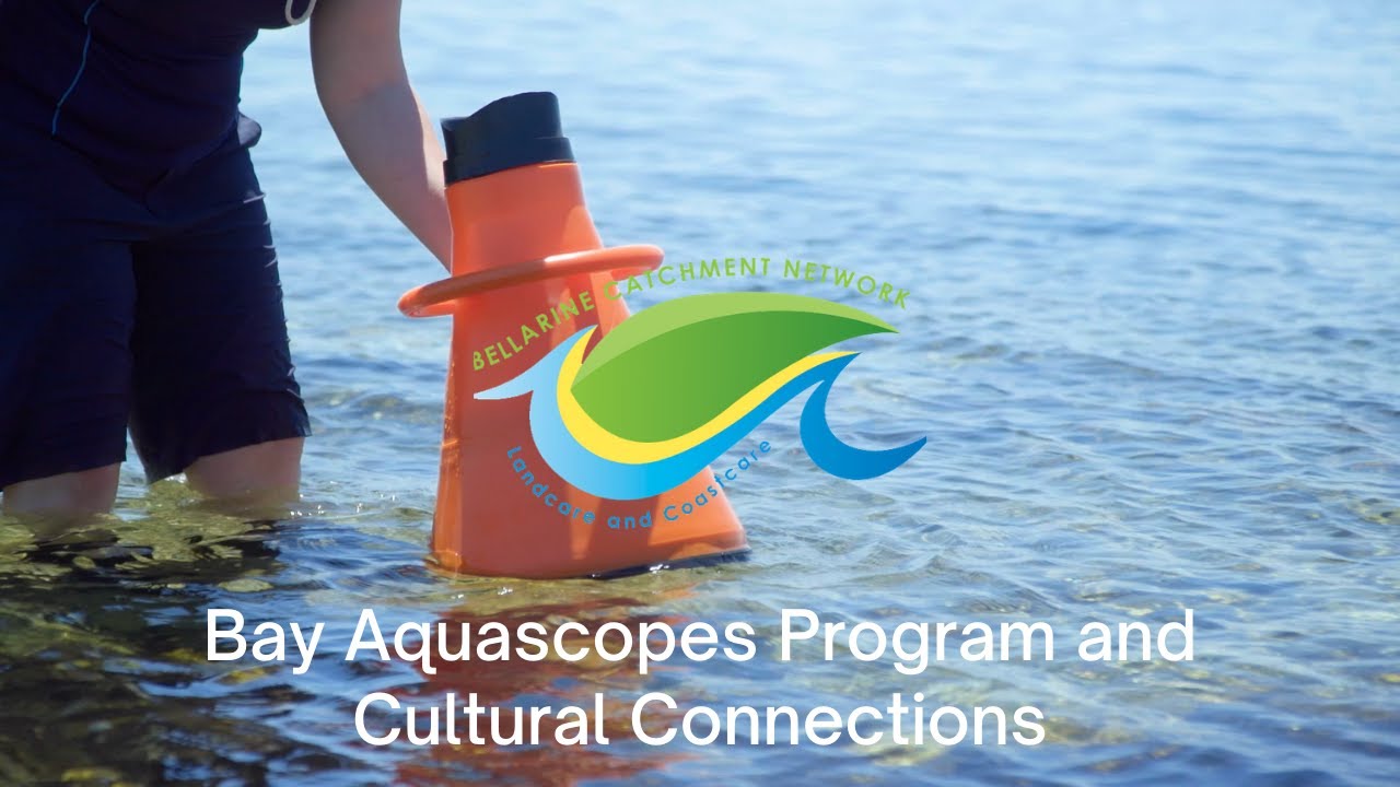 Bay Aquascopes Program and Cultural Connections