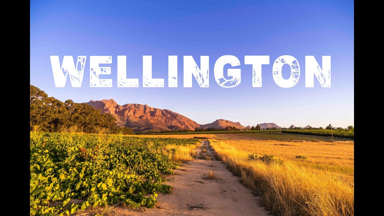 A Quick Trip to Wellington, Western Cape