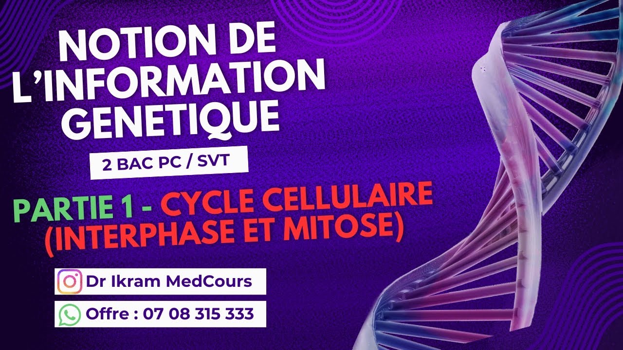 Notion de l'information génétique 2 BAC PC/SVT - Cycle cellulaire interphase et mitose (Partie 1)