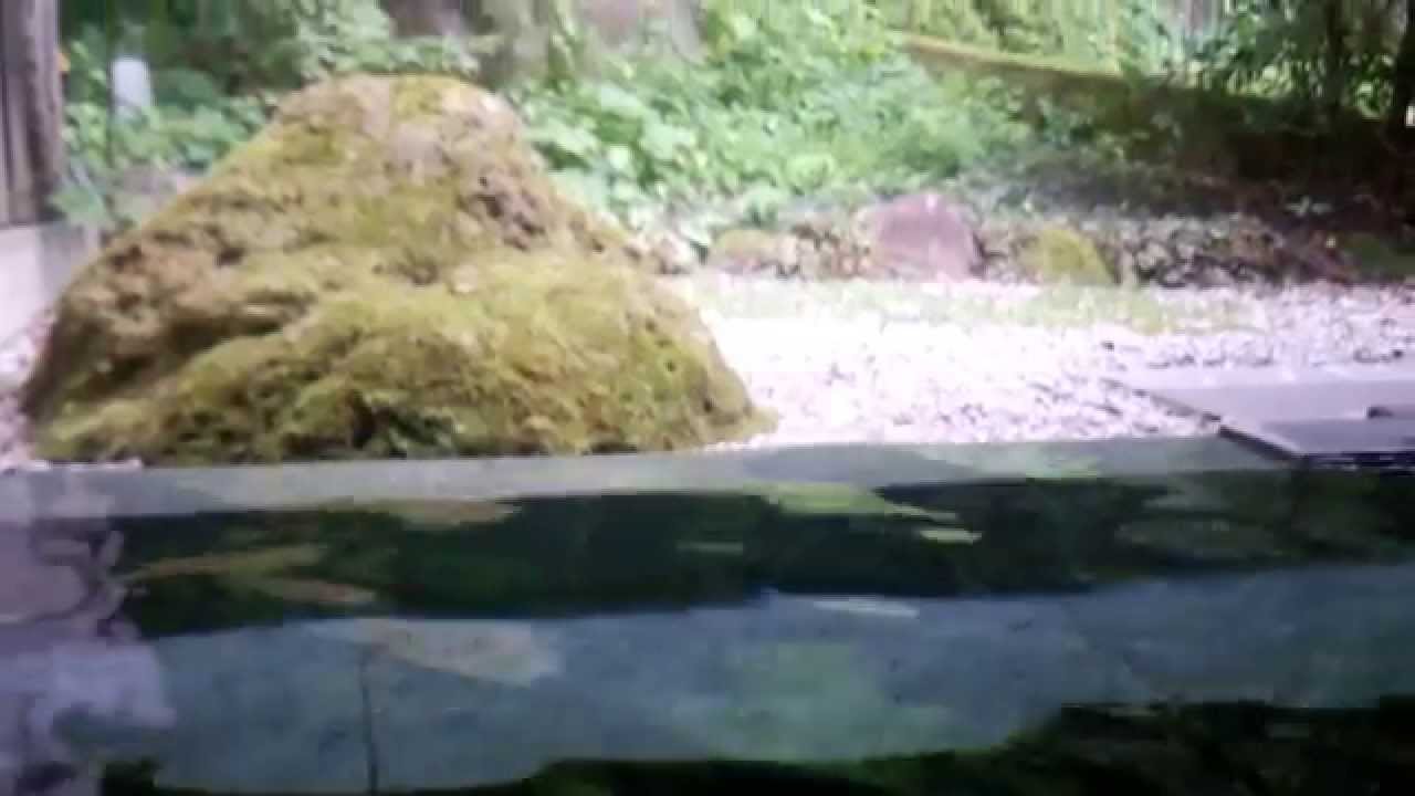 栃木　板室温泉　OnsenRyokan　山喜　150812