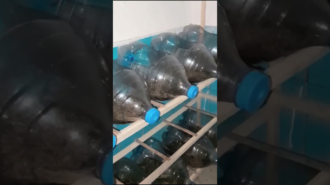 USAHA PALING MENGUNTUNGKAN