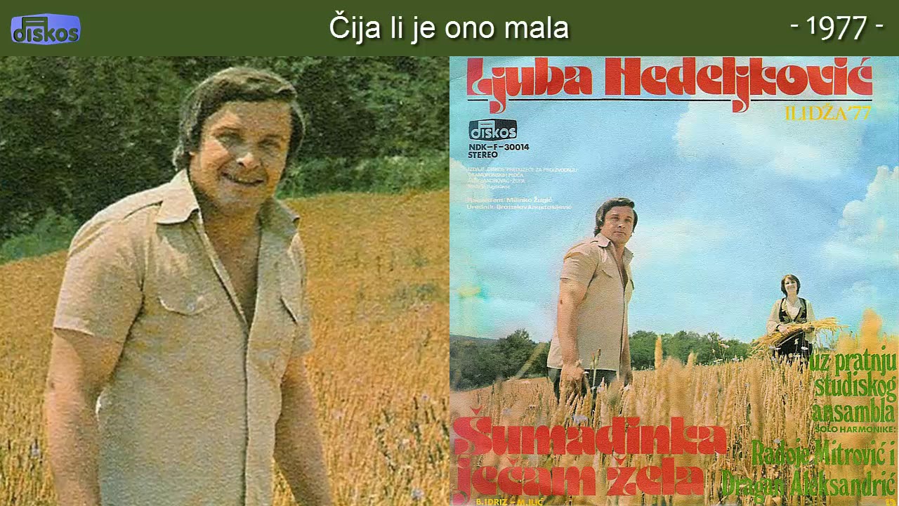 Ljuba Nedeljkovic - Cija li je ono mala - (Audio 1977)