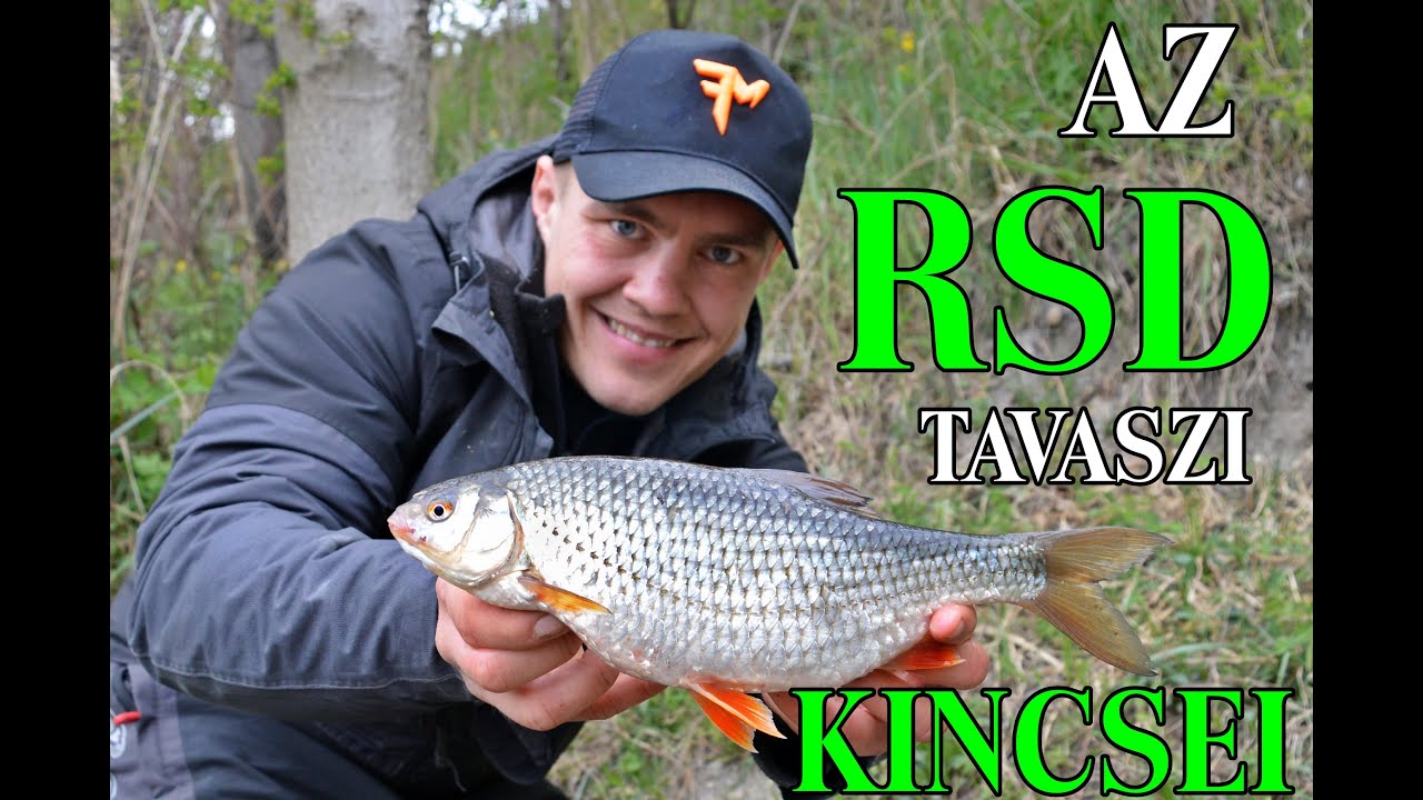 Az RSD tavaszi kincsei || Bodorka és compó horgászat az öbölben