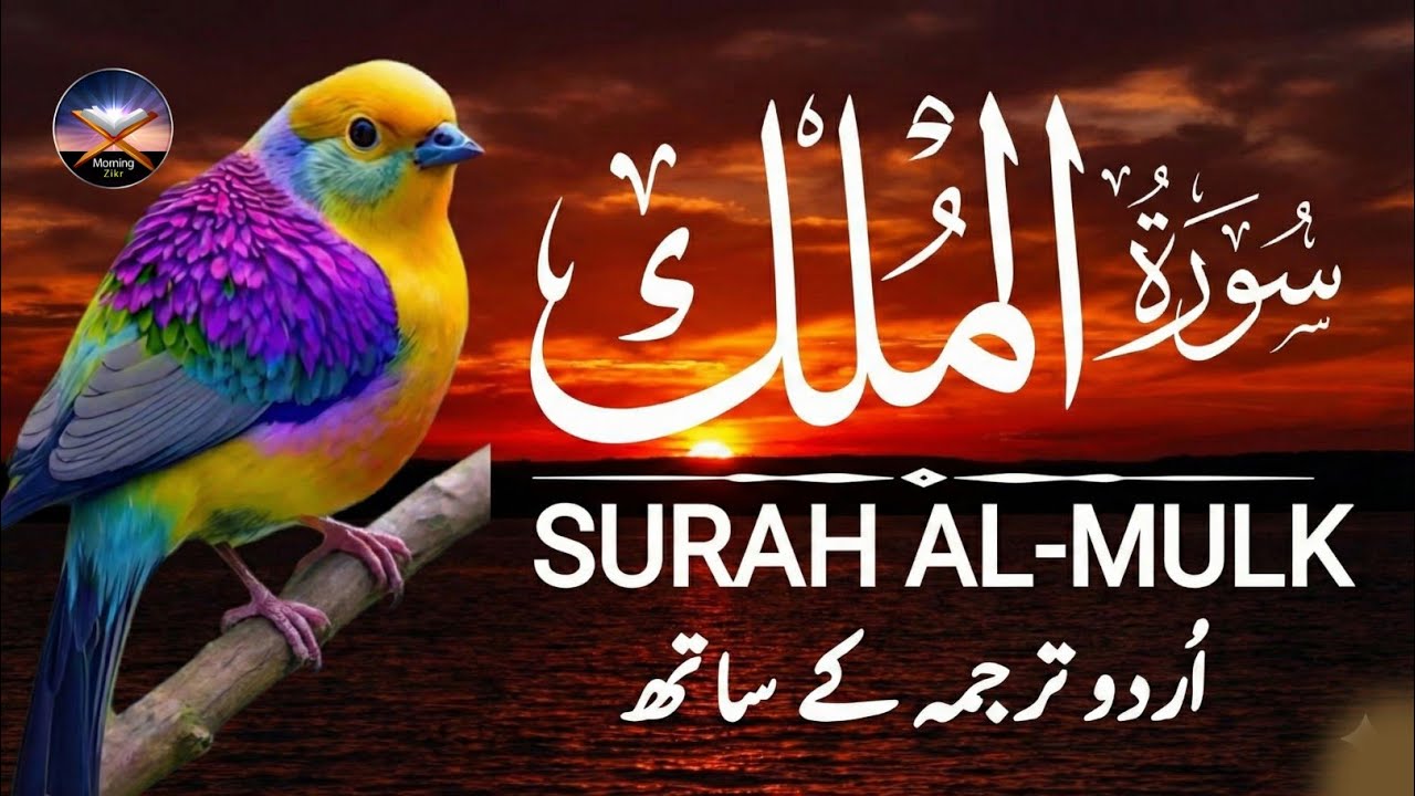 Surah Al Mulk | Full Surat Mulk with Urdu Translation | Beautiful Quran Tilawat | Hindi Tarjuma