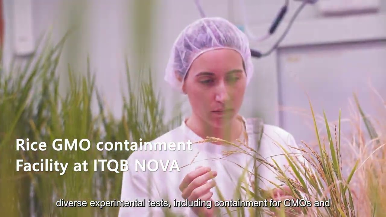 GREEN-IT Research Unit