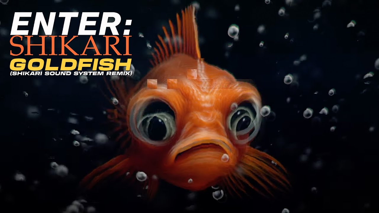 Enter Shikari - goldfĭsh ~ (Shikari Sound System Remix) - (Visualiser)