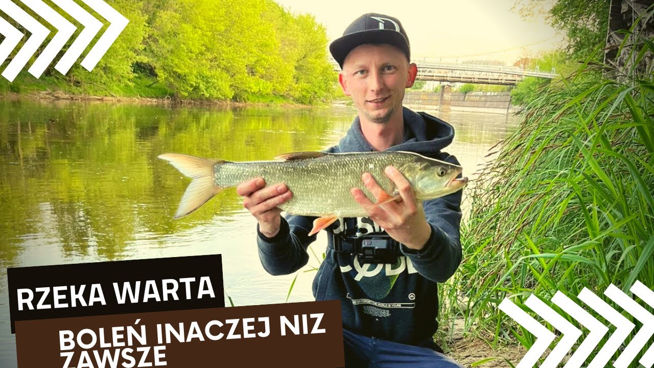 SPINNING NA RZECE WARCIE | MÓJ SPOSÓB NA BOLENIE | WEDKARSTWO 2022  NA LUZIE