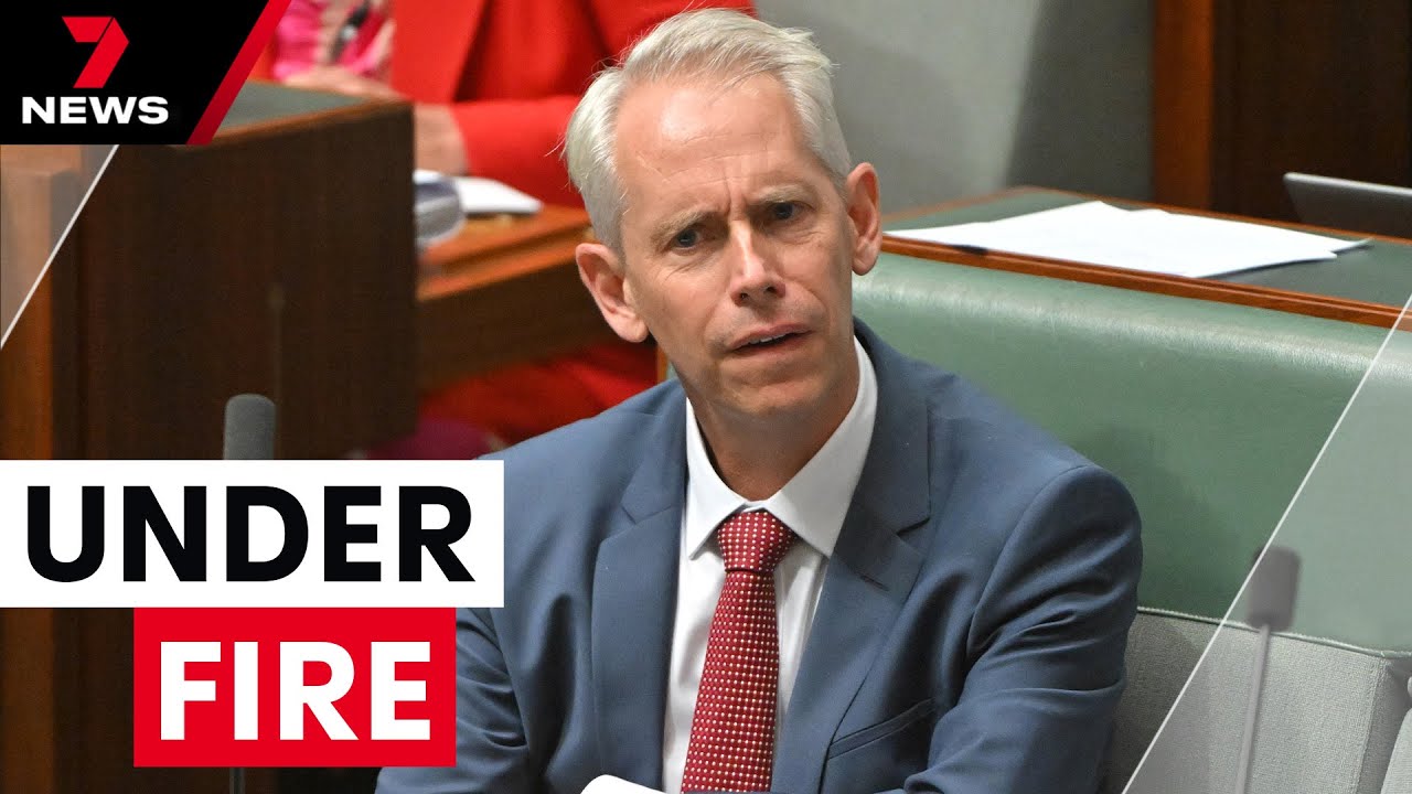 Immigration Minister Andrew Giles under fire over detainee offenders  | 7 News Australia
