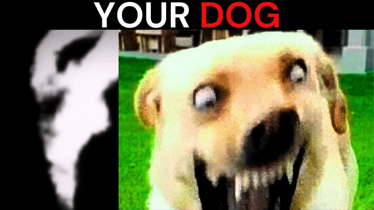 Mr Incredible Becoming Uncanny meme (Your dog)