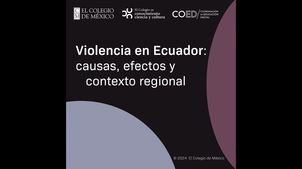 Violencia en Ecuador: causas, efectos y contexto regional