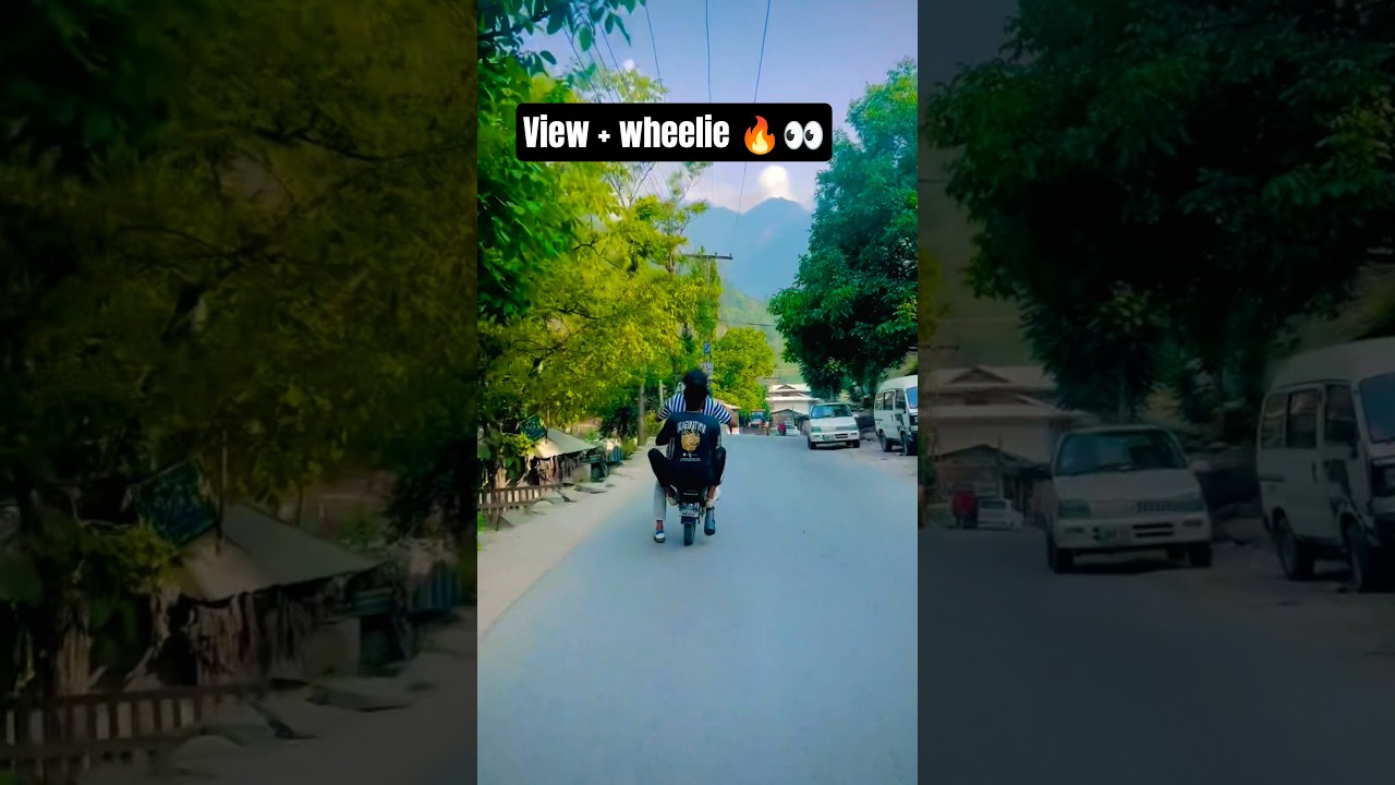 View + wheelie ❤️⚡️🔥 #wheelies #automobile #onewheeling #stunt #shortsgrow #shortsfeed #50kviews