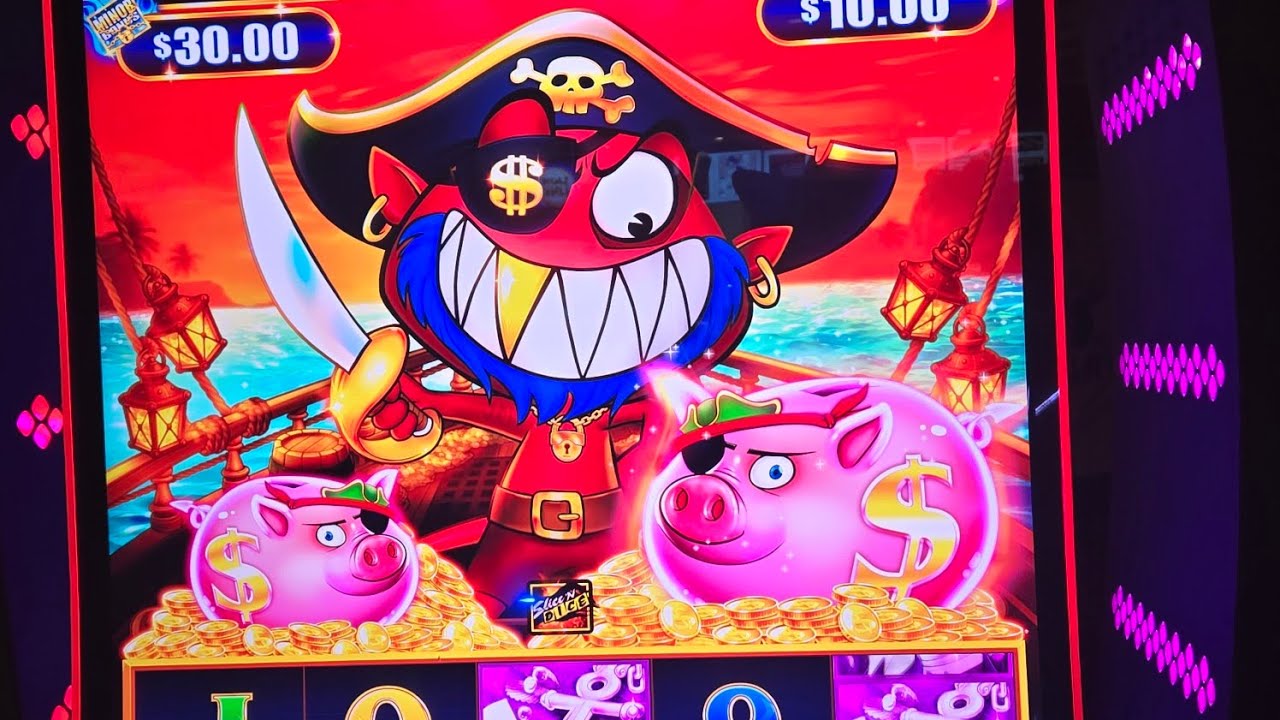 Played the cool Pirate shark game 