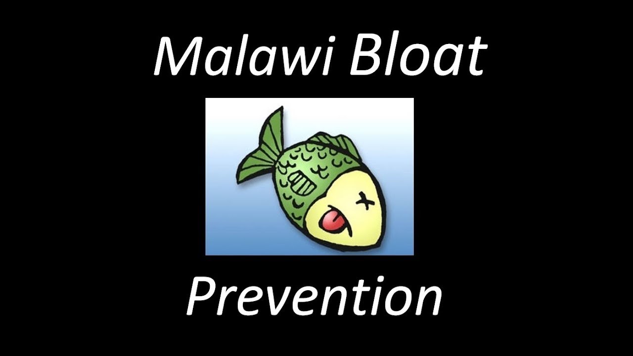 Finally Eliminate Bloat in Your Fishroom!!
