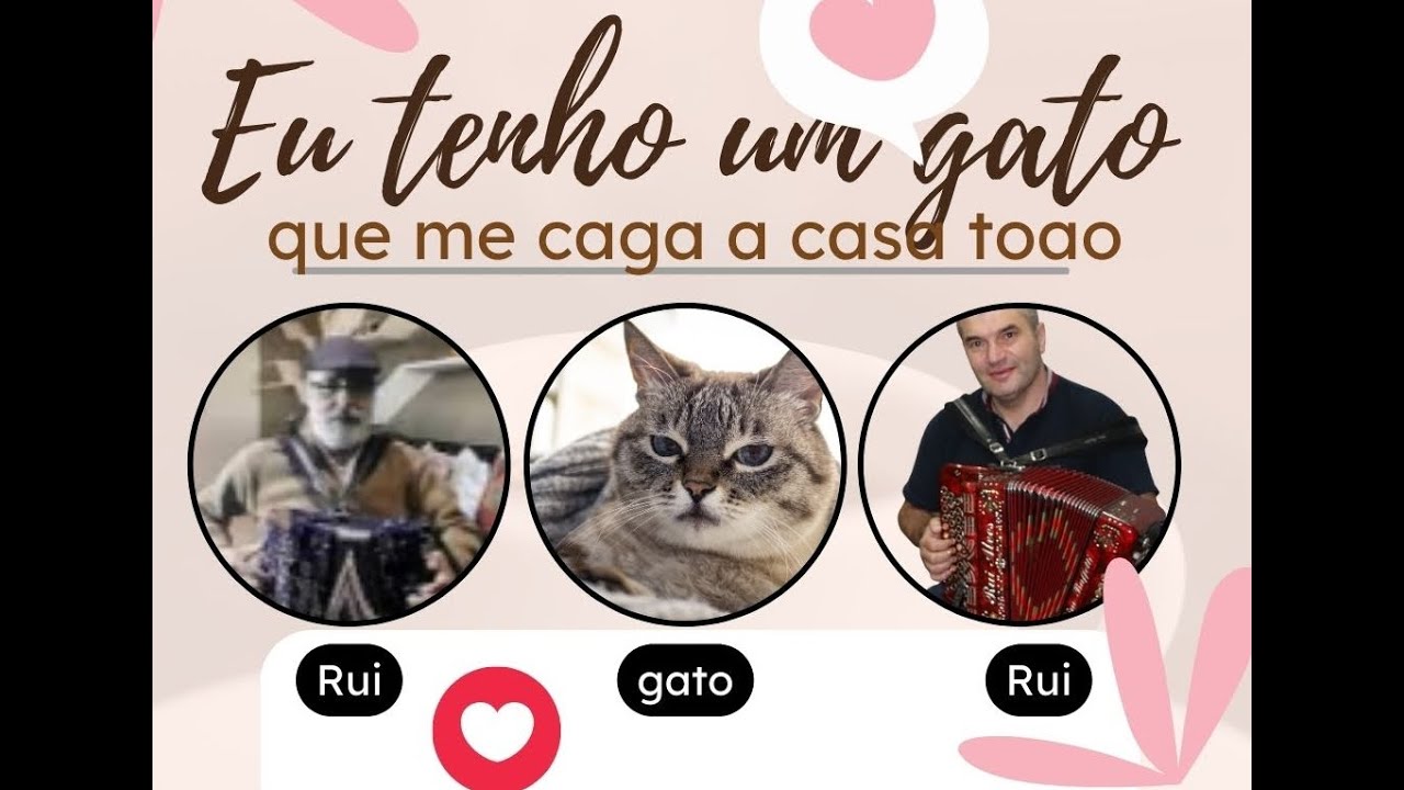 #Eu tenho um gato (que me caga a casa toda)- Rui Alves ft Rui Fonseca