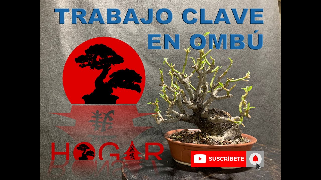 TRABAJO CLAVE EN OMB&Uacute;