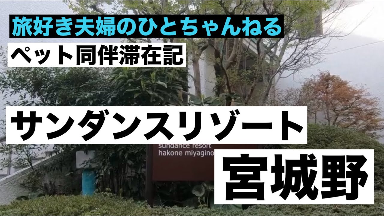 「シニア夫婦の気まま旅ログ」箱根旅行 サンダンスリゾート箱根宮城野 ペットと一緒に宿泊！ ［vol.022］