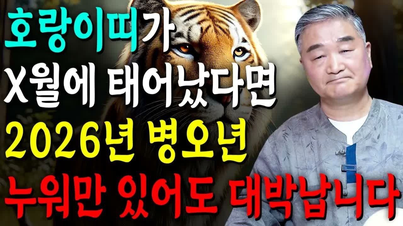 [2026년 호랑이띠운세] 호랑이띠 생일이 X월이라면 100% 대박! 금전·귀인·문서운 폭발! 50·62·74·86·98년생 범띠 신년운세