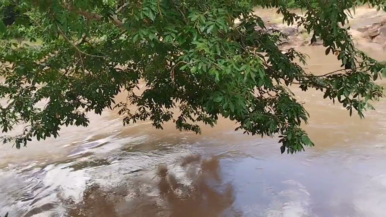 04/03/26, Cachoeira do Diamante, Rochedo, MS.