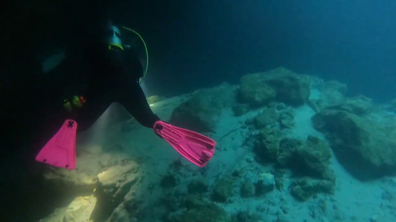 2026 01 26 Paradise Spring Lisa Deep Checkout Dive 3