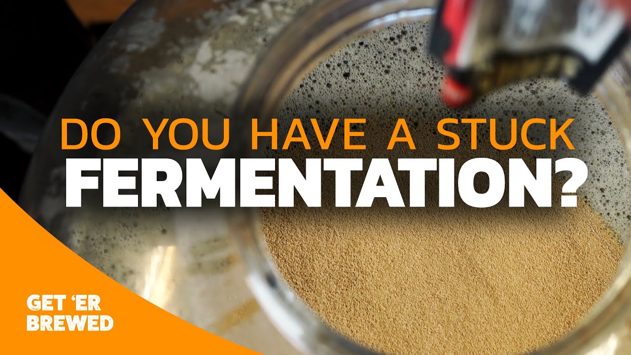 No fermentation activity problem solving - How to deal with a stuck fermentation
