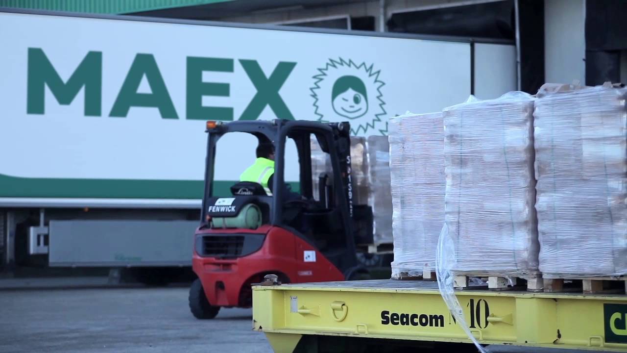 Condigel (Efbs / Packgel / Maex) : unloading of a conventional vessel in Le Havre 2016