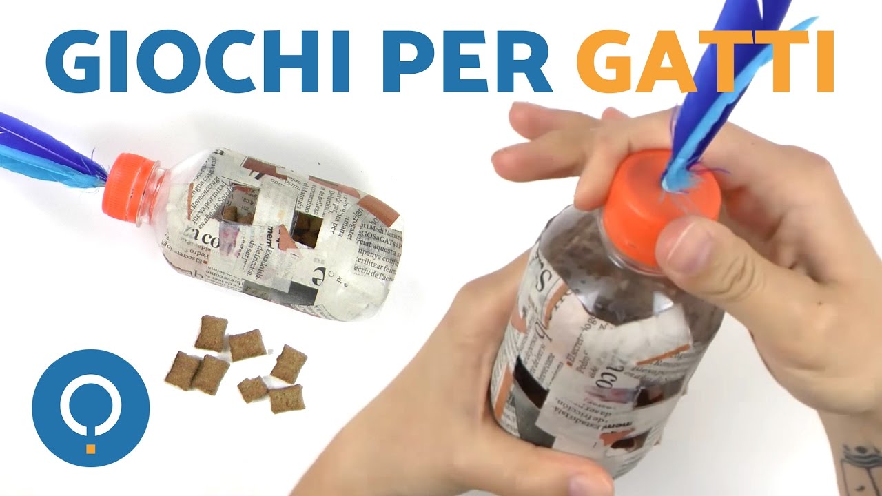 Gioco per gatti DIY - Gioco di intelligenza!