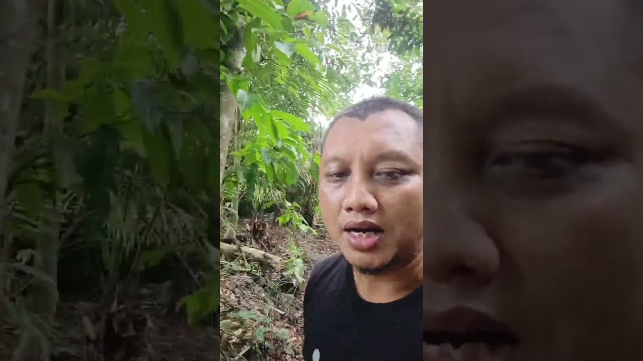 Makam Bonokeling Pekuncen Jatilawang Banyumas