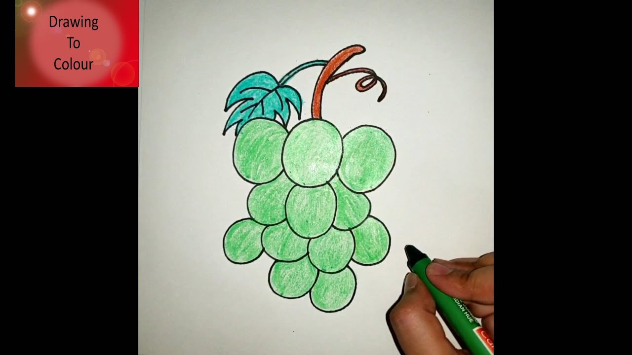 How to draw grapes easy | Grape drawing tutorial | Simple fruit Drawing | Drawing to colour