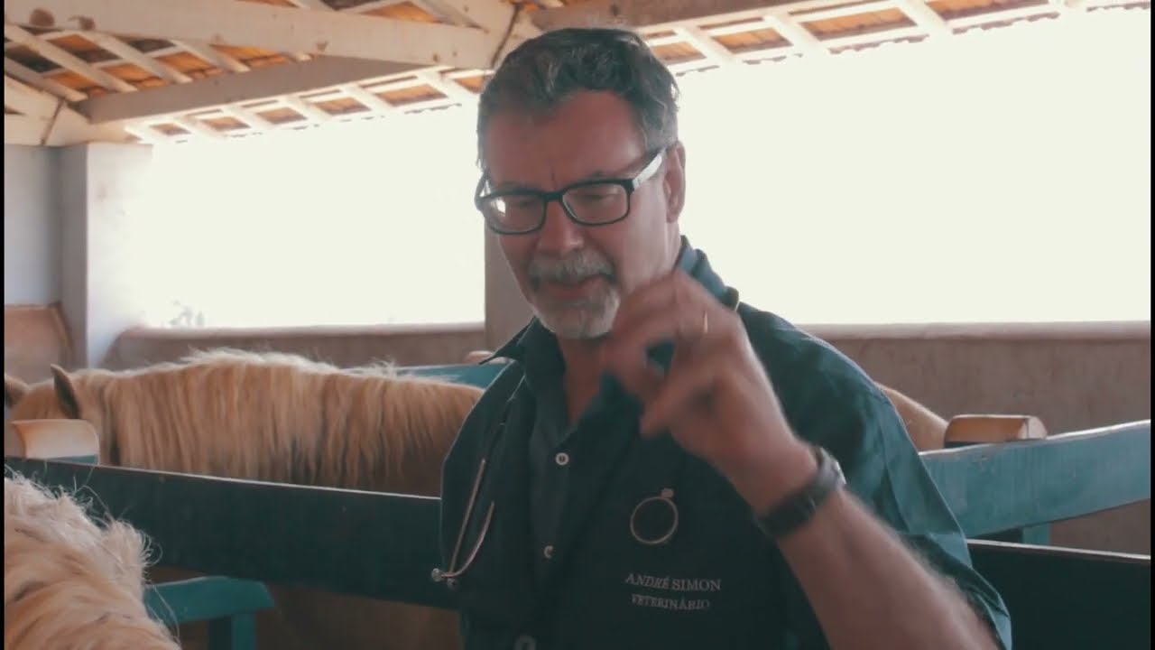 Como é um atendimento de rotina - Fazenda Sapecado em Cravinhos/SP | Dr. André Simon | Ep.11