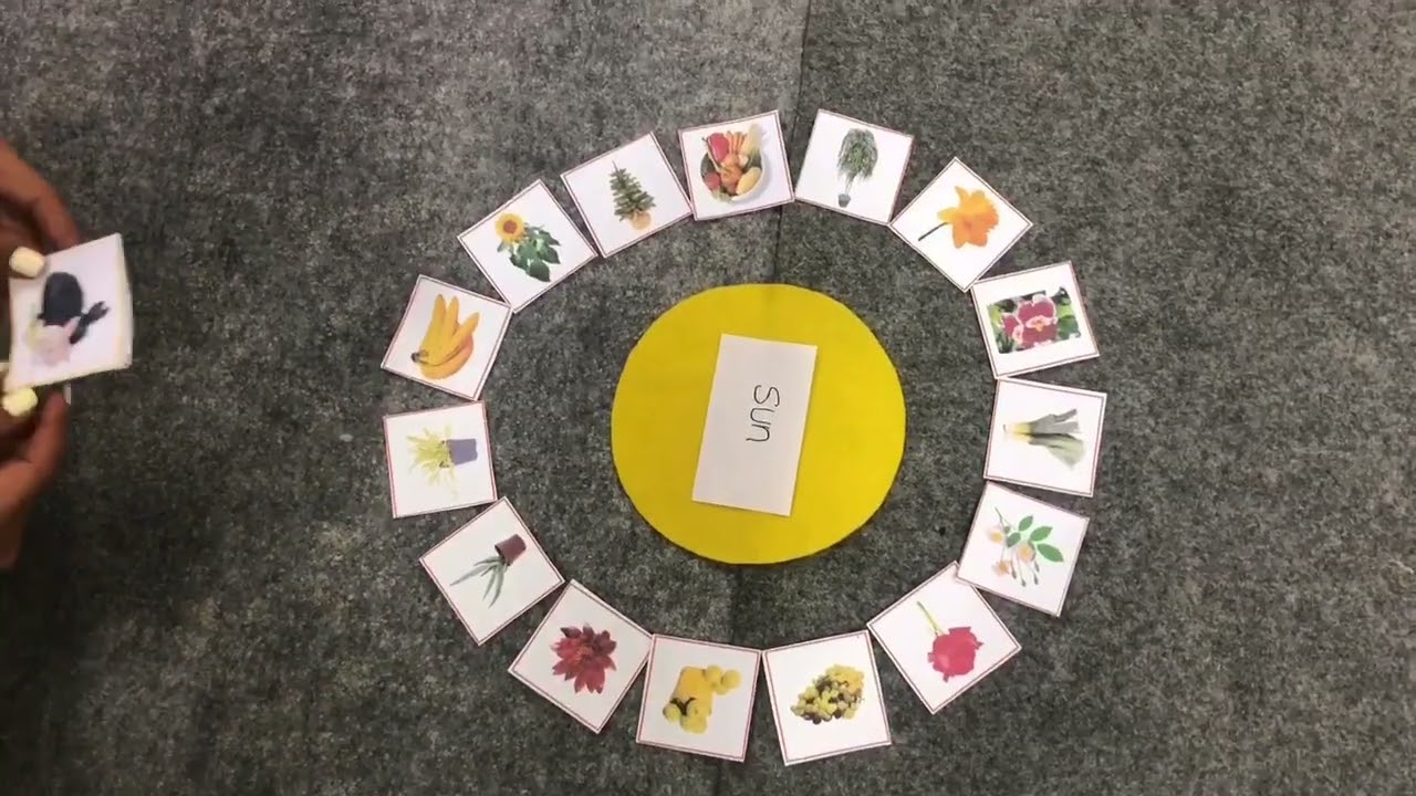 Montessori Sun Game