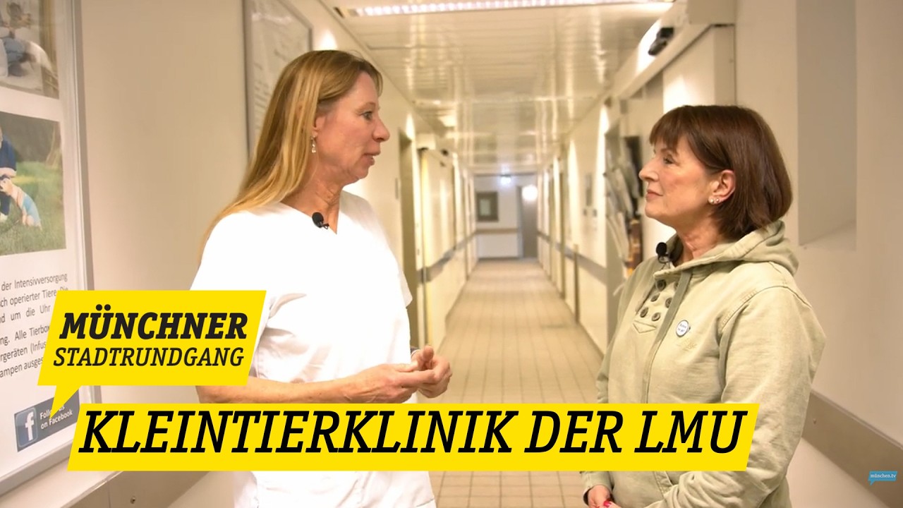 Münchner Stadtrundgang