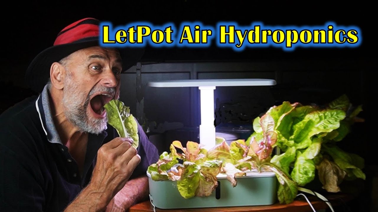 Can This Cheap Hydroponic Kit Really Grow Veggies?