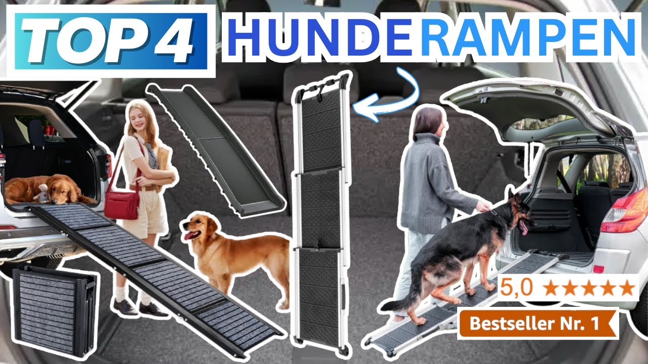 Beste AUTO HUNDERAMPEN (Testsieger 2026) | Top 4 Hunderampen für das Auto Vergleich